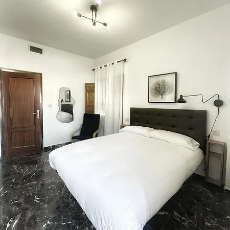 Local Granada Penthouse-3
